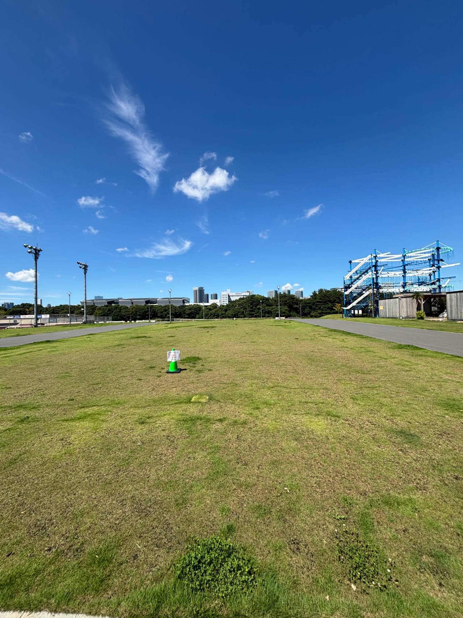 A wide lawn, the Monster Jungle ropes course on the right
